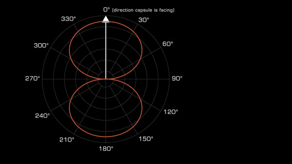 ribbon mic polar pattern